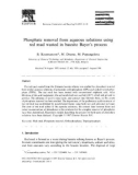 Phosphate removal from aqueous solutions using red mud wasted in bauxite Bayer's process