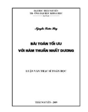 Luận văn: Bài toán tối ưu với hàm thuần nhất dương