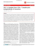 Báo cáo y học: HIV-1 is budded from CD4+ T lymphocytes independently of exosomes