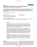 Báo cáo y học:  PDGF/VEGF signaling controls cell size in Drosophila