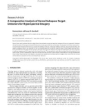 Báo cáo hóa học:  Research Article A Comparative Analysis of Kernel Subspace Target Detectors for Hyperspectral Imagery