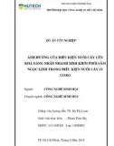 Đồ án tốt nghiệp: Ảnh hưởng của điều kiện nuôi cấy lên khả năng nhân nhanh sinh khối phôi sâm Ngọc Linh trong nuôi cấy in vitro