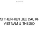 Xu thế thiên nhiên dầu khí