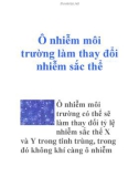 Ô nhiễm môi trường làm thay đổi nhiễm sắc thể