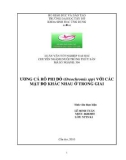 Luận văn nuôi trồng thủy sản: Ương cá rô phi đỏ (oreochromis spp) với các mật độ khác nhau ở trong giai