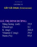 Bài giảng: Cây cà chua