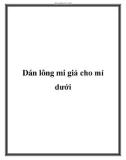 Dán lông mi giả cho mí dưới