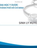 Bài giảng Sinh lý huyết cầu