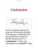 Cacbohydrat