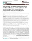 Augmentation of neovascularization in murine hindlimb ischemia by combined therapy with simvastatin and bone marrow-derived mesenchymal stem cells transplantation