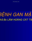 Bài giảng Bệnh gan mật - ThS. BS. Lâm Hoàng Cát Tiên