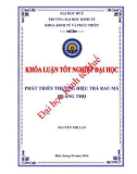 Khóa luận tốt nghiệp: Phát triển thương hiệu trà rau má Quảng Thọ