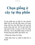 Chọn giống ở cây tự thụ phấn