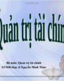 Quản trị tài chính - Khủng hoảng kinh tế và mạng quản trị tài chính cho NINOMAX