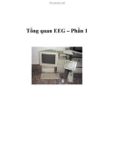 Tổng quan EEG – Phần 1