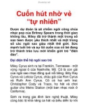 Cuốn hút nhờ vẻ “tự nhiên”