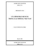 Tóm tắt Luận văn thạc sĩ: Các hình phạt bổ sung trong luật hình sự Việt Nam