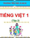 Bài giảng môn Tiếng Việt lớp 1 sách Cánh diều năm học 2020-2021 - Tuần 30: Tập đọc Sẻ anh, sẻ em ​(Trường Tiểu học Ái Mộ B)