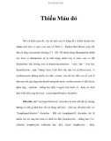 Thiếu Máu đỏ