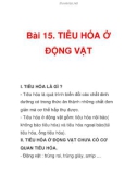 TÀI LIỆU THAM KHẢO: Bài 15. TIÊU HÓA Ở ĐỘNG VẬT