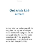 Quá trình khử nitrate