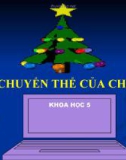 Bài giảng Sự chuyển thể của chất - Khoa học 5 - GV. N.T.Sỹ