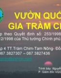 Báo cáo: Vương quốc gia tràm chim