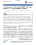 Báo cáo y học:  In situ detection of Gag-specific CD8+ cells in the GI tract of SIV infected Rhesus macaques