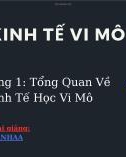 Bài giảng Kinh tế vĩ mô - Chương 1: Tổng quan về kinh tế học vi mô