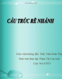 Cấu trúc rẽ nhánh - SVTH: Phạm Thị Lan Anh