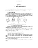 Chương 7: TY THÊ (Mitochondria)