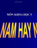 Bài 2-3: Nam hay nữ - Bài giảng điện tử Khoa học 5 - L.K.Chi