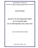 Luận án Tiến sĩ Tâm lý học: Hành vi tự hủy hoại bản thân của vị thành niên ở các đô thị phía Nam, Việt Nam