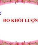 Bài giảng môn Khoa học tự nhiên lớp 6 bài 6: Đo khối lượng