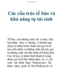 Các cấu trúc tế bào và khả năng tự tái sinh