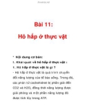 Bài 11: Hô hấp ở thực vật