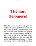 Thể mút (telomere )