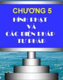 Bài giảng Luật Hình sự - Chương 5: Hình phạt và các biện pháp tư pháp