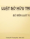 Bài giảng Luật sở hữu trí tuệ - Chương 1: Những vấn đề chung về Luật sở hữu trí tuệ