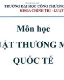 Bài giảng Luật thương mại quốc tế - Chương 6: Luật WTO trong lĩnh vực sở hữu trí tuệ