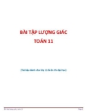 Bài tập lượng giác Toán 11