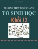 Bài giảng Sinh học lớp 12: Các học thuyết tiến hóa - Trường THPT Bình Chánh