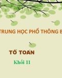 Bài giảng Hình học lớp 11: Hàm số lượng giác và phương trình lượng giác (Tiết 1) - Trường THPT Bình Chánh