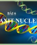 Bài giảng môn Sinh học lớp 10 bài 6: Axit Nucleic