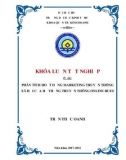 Khóa luận tốt nghiệp Quản trị kinh doanh: Phân tích hoạt động marketing truyền thông xã hội của Hệ thống truyền thông online HueS