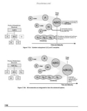 Visualizing Project Management Models and frameworks for mastering complex systems 3rd phần 4