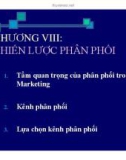 Bài giảng Marketing căn bản - Chương 8 Chiến lược phân phối