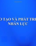 Bài giảng Đào tạo và phát triển nhân lực