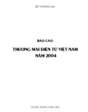 Báo cáo thương mại điện tử năm 2004 - 2