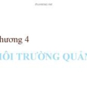 Bài giảng Quản trị học (Lê Thị Bích Ngọc) - Chương 4: Môi trường quản trị